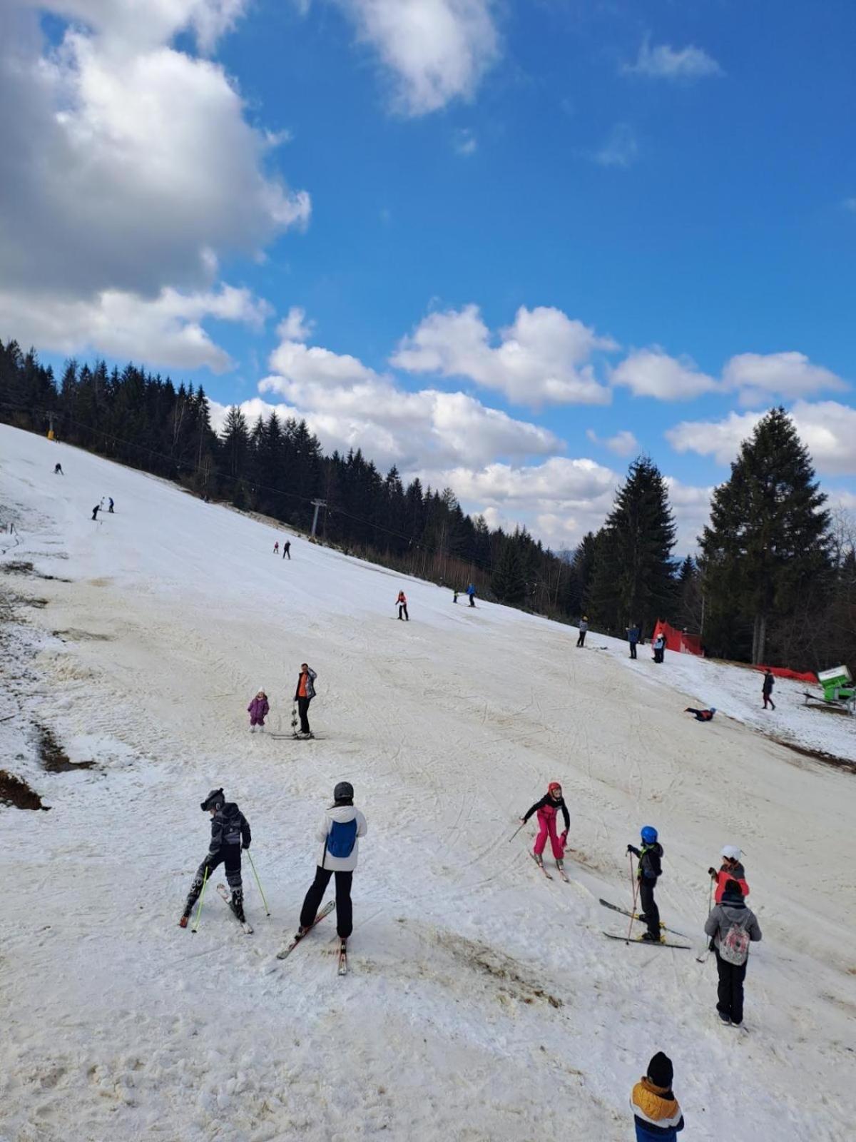 Villa Zlatarska Idila Nova Varoš Exterior foto